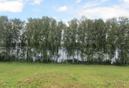 Image for Московская область, Мытищинский район,<br> поселок Монаково