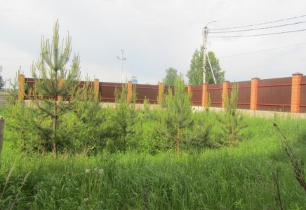 Image for Московская область, г. Ногинск,<br> Богородская улица <br>Горьковское шоссе, 40 км. до МКАД